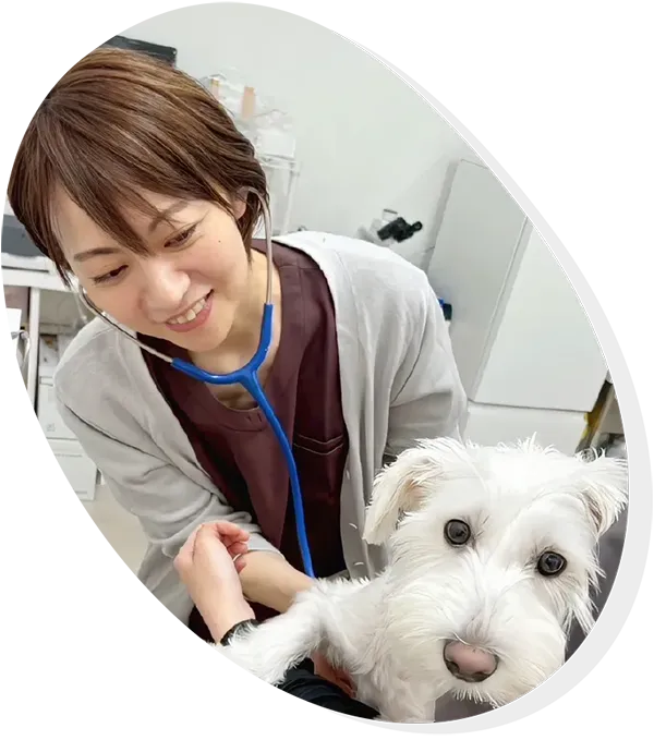 定本 真純